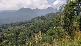Tanah murah untuk wisata+glamping+villa sangat strategis full view