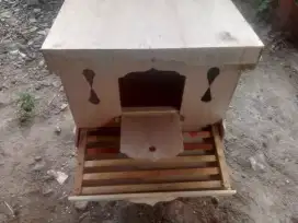Jual dan terima pesanan gupon merpati area Poris Cipondoh makmur