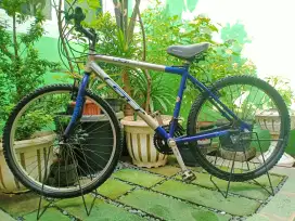 Sepeda Wimcycle Hybird