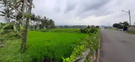 Penjualan tanah sawah kota Padang Panjang SUMBAR