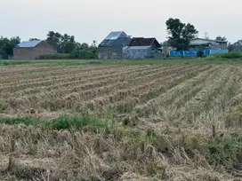 Tanah dekat SD negri jatimulyo/ samping air panas