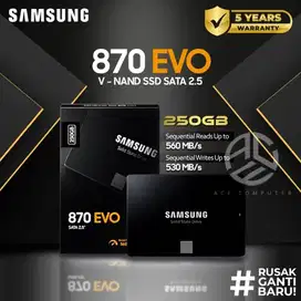 SAMSUNG Solid State Drive 870 EVO 500GB