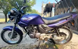 Tiger lama 1994