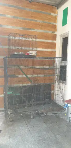 Di Jual Cepat Kandang Kucing Besar masih layak Size XXL (150x65x150)