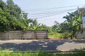 TANAH MULAWARMAN SELATAN RAYA UNDIP TEMBALANG