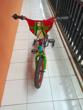 Sepeda anak anak