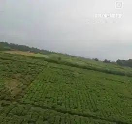 Dijual cepat Tanah nempel sungai view Gunung