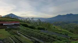 Dijual Tanah kebun di Garut Kamojang Jawa Barat