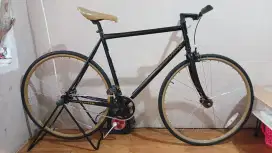 Sepeda Fixie, Frame SCHWINN CUTTER uk. S