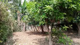 DiJual Tanah Jalan Pinang Raya Pamulang Timur Pamulang Tangerang