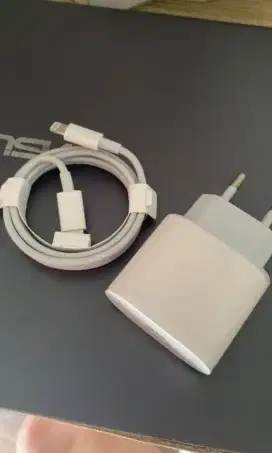 Charger iPhone 25 Watt original