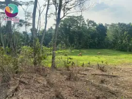 Dijual cepat tanah diklapanunggal Bogor