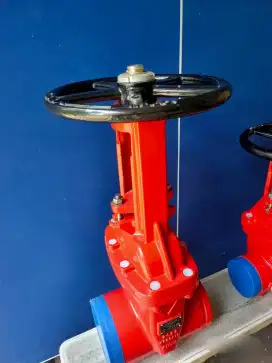 Victaulic Gate Valve 711H/A 300 PSI Uk. 2 1/2 Inch
