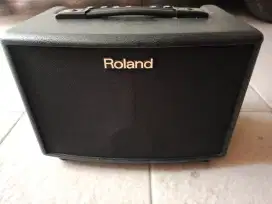 Roland AC33 Acoustic