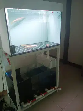 Aquarium Ikan dengan Filter (80cm x60cm x60cm)