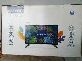 Digital Tv Weyon 30