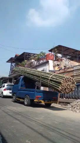 Jual bambu steger