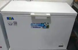 Chest Freezer RSA
