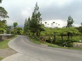 Tanah murah dikemuning,ngargoyoso karanganyar