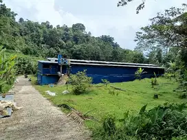 Kandang ayam murah dikarangpandan