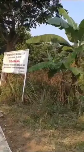 Di Jual Tanah Di Bawah Harga Pasar Di Sukadamai, Sukamakmur, Kab Bogor