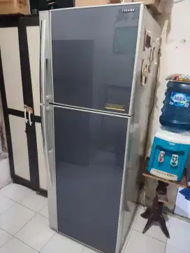 Kulkas 2 pintu Toshiba