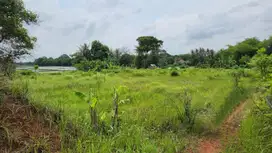 DIJUAL CEPAT LAHAN KAWASAN DESA KEMIRI TANGERANG