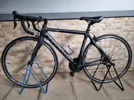 Pinarello Itali