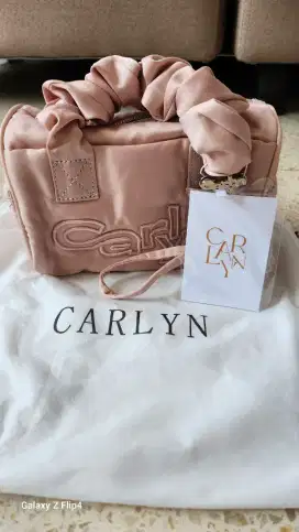 Carlyn Tia Mini Bag