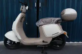 Sepeda listrik phoenix PX270 power besar desain keren terbaru