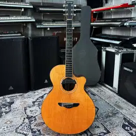 BILLY MUSIK - Northwood Canada 80 MJV AAA Rosewood & Cedar Body EMG PU