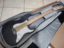 Gitar Elektrik HEX E100 S/SG
