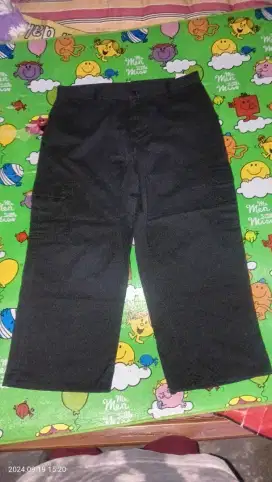 Celana cargo dickies