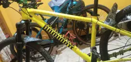 Sepeda MTB DOMINATE 29er