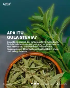 TANAMAN STEVIA PENGGANTI GULA