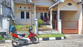 F1ZR seri malboro 2003