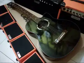 Gitar akustik apx tanambesi