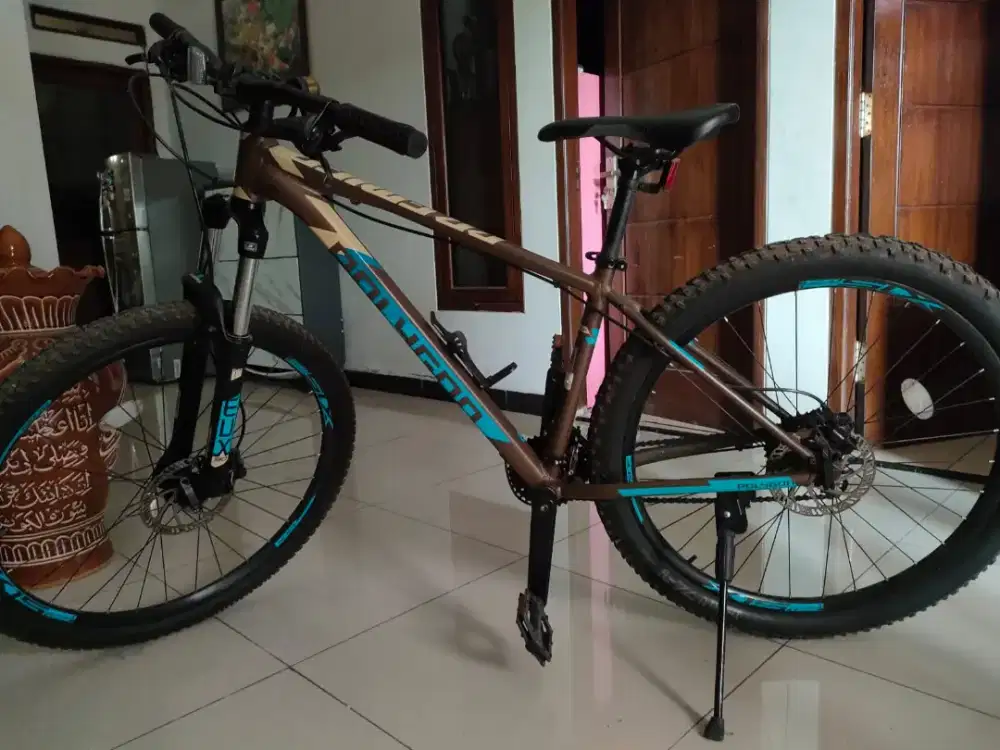 Sepeda Polygon premier 4