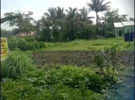 DIJUAL TANAH PEKARANGAN MURAH , SHM PBB BISA NEGO
