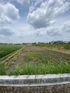 JUAL TANAH (SAWAH)