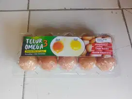 Telur Ayam Omega 3