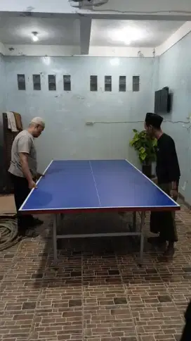 Tenis meja pingpong murah