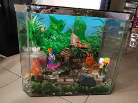 Aquarium Set 50 x 30 cm