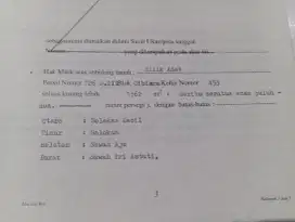 Tanah sawah di cibiana 3jt/tumbak