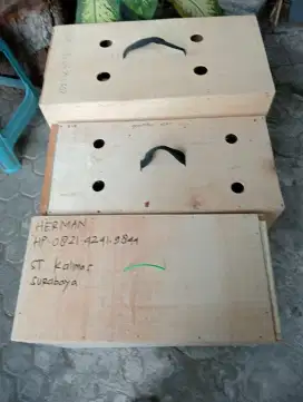Box untuk kirim ayam ukuran besar