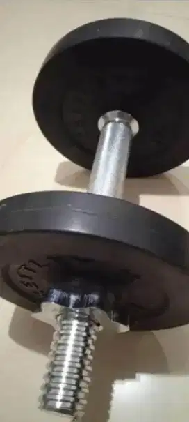 Kettler Rubberized 12.5kg