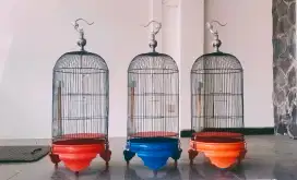 Kandang Lovebird Baru