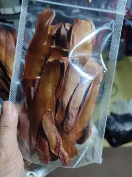 Biji mahoni langsung dari pohon