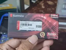 Ssd NVME Ramsta 512 giga