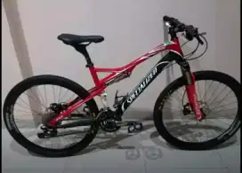 Specialized Epic Carbon